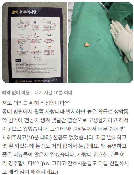 대학병원사랑니발치, 꼭 대학병원까지 가야 할까요? 전문의가 알려드립니다