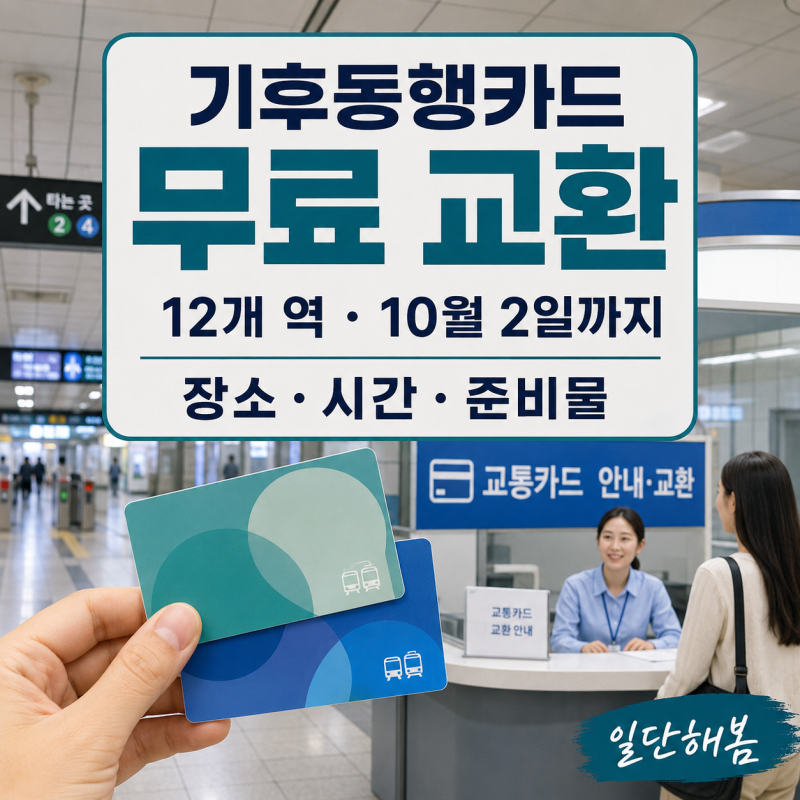 기후동행카드 교환 방법｜교환 장소·준비물·기존 카드 사용 총정리