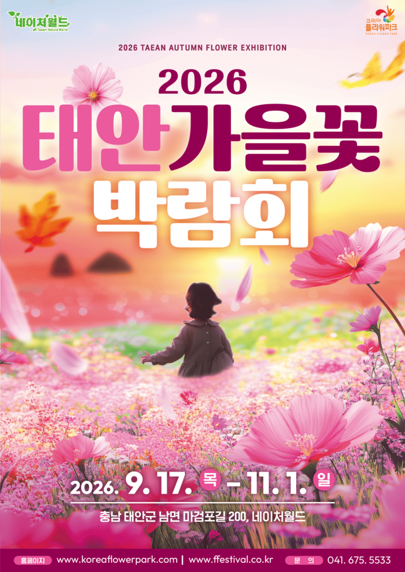2026 태안 가을꽃박람회 언제 갈까?｜개화 안내·입장료·빛축제 시간(9월17일 업데이트)