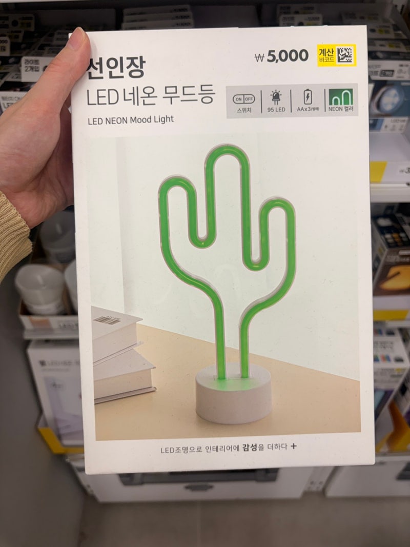 “불 하나 켰을 뿐인데 분위기 뭐야?” 다이소 감성 조명