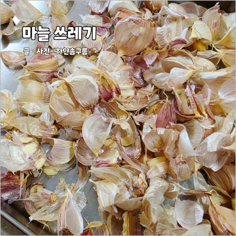 마늘 알맹이 껍질 음식물 쓰레기 vs 일반쓰레기 음쓰 일쓰 버리는법