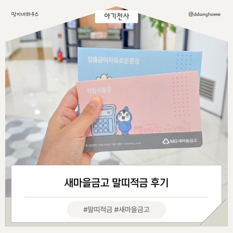 2026년 출산하면 들어야 할 새마을금고 말띠적금 후기