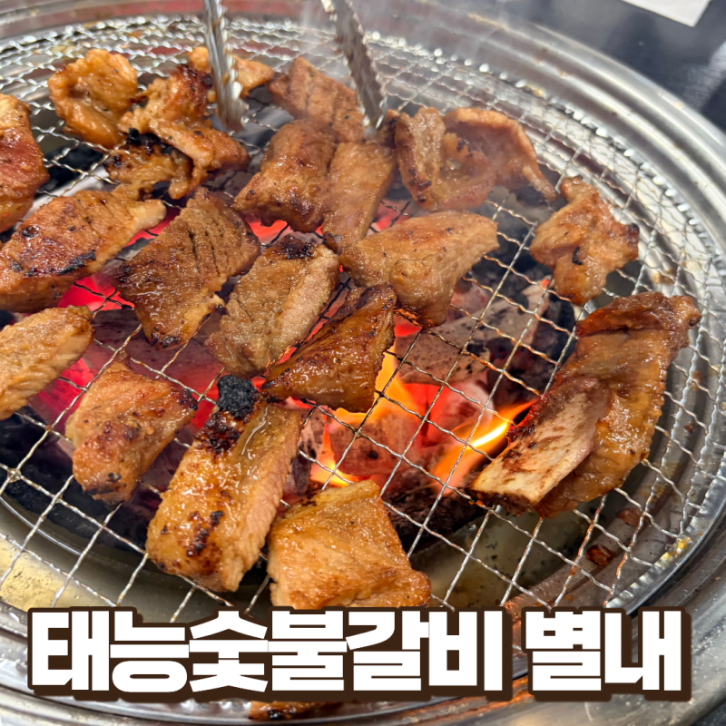 [별내별가람역 맛집] 숯불향이 은은하게 나는 별내 돼지갈비 '태능숯불갈비'