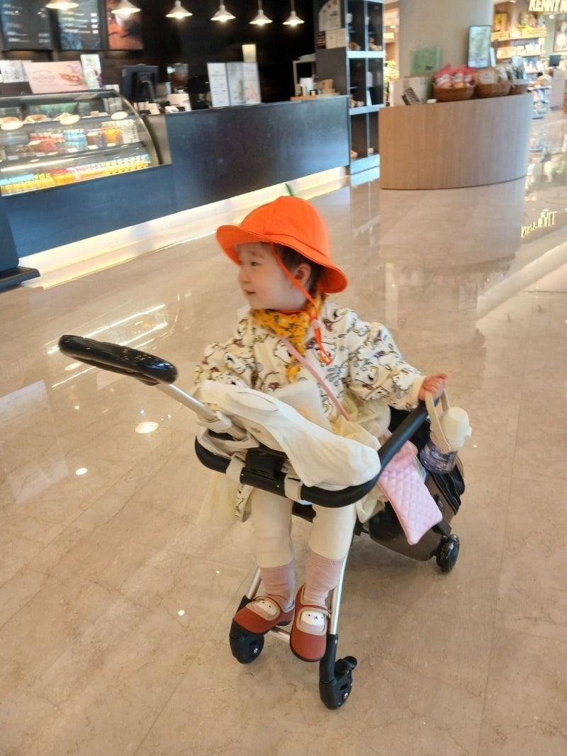 키머즈쉘위고, 이거 정말 괜찮을까? 장단점 완벽 분석