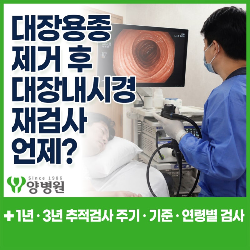대장용종 제거 후 대장내시경 재검사 언제? 1년 · 3년 추적검사 주기와 기준 | 강동구 소화기....