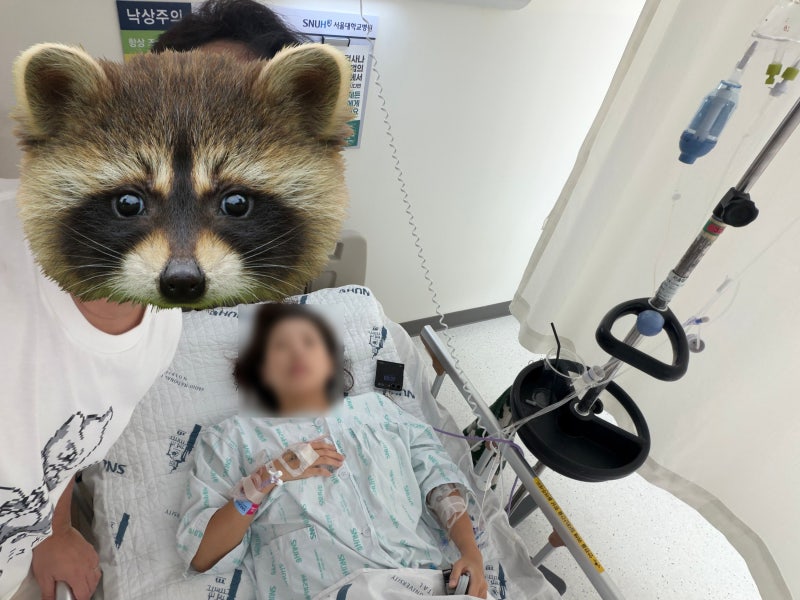 자궁 근종 수술 일기 2편: 서울대병원 자궁 다빈치 로봇수술 당일 후기 (서울대학교병원 한경....