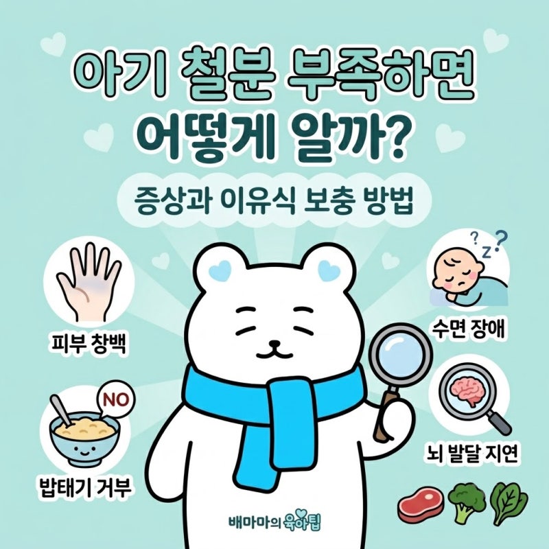 아기 철분 부족하면 어떻게 알까? 철분 부족 증상과 이유식으로 철분 보충하는 방법