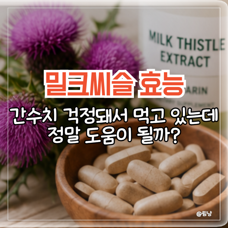 밀크씨슬 효능 간수치 걱정돼서 먹고 있는데.. 정말 간에 도움이 되는 걸까요?
