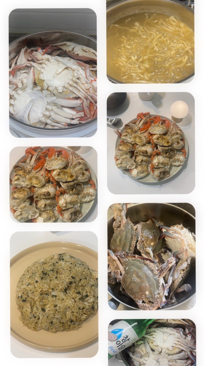 집에서 꽃게찜하는법 꽃게 손질부터 꽃게 찌는 시간 게내장볶음밥까지