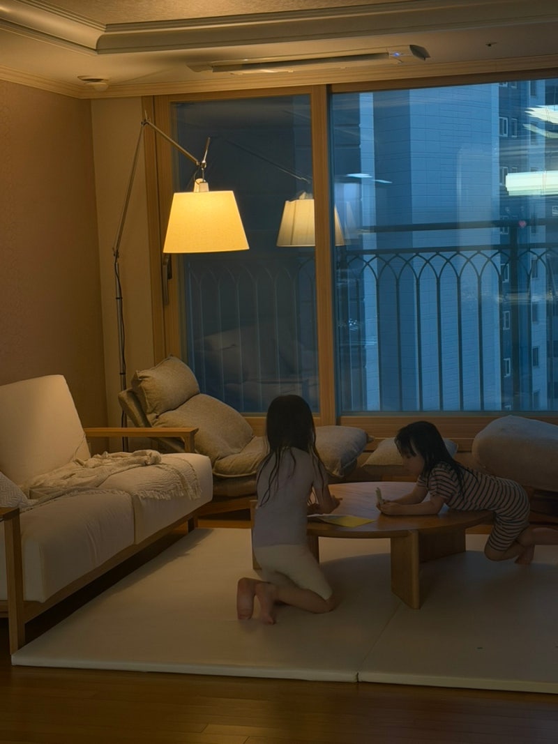 [무인양품 리뷰]폴리에스터 평직 하이백 리클라이닝 소파 1인용, 오토만 베이지 색상 리뷰 | ....