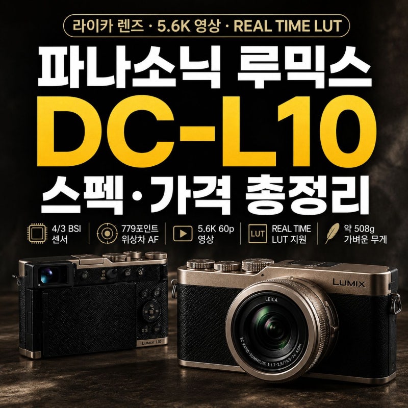 파나소닉 루믹스 DC-L10 스펙 및 가격 정가 분석