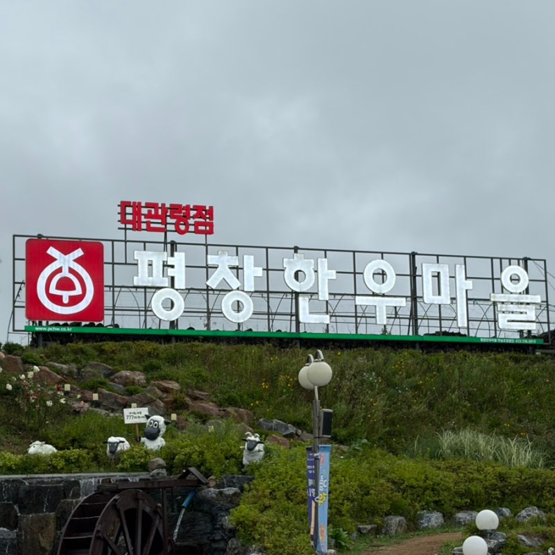 대관령양떼목장맛집 - 평창한우마을
