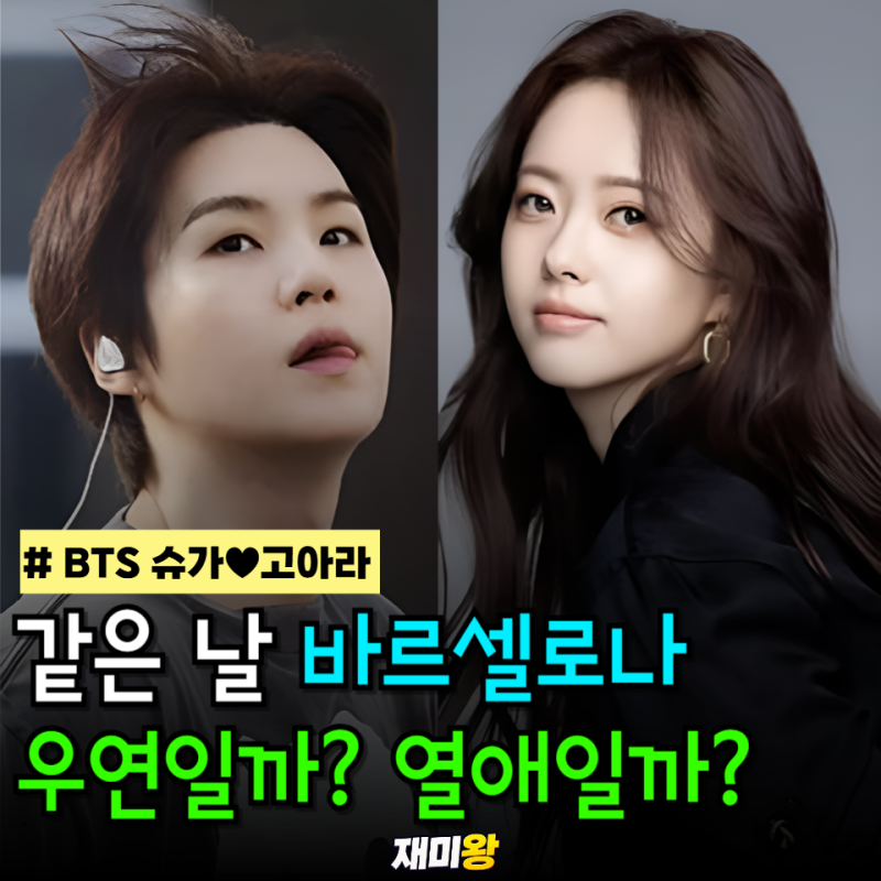 "같이 간 걸까?"...BTS 슈가·고아라 열애설 불붙인 사진의 정체