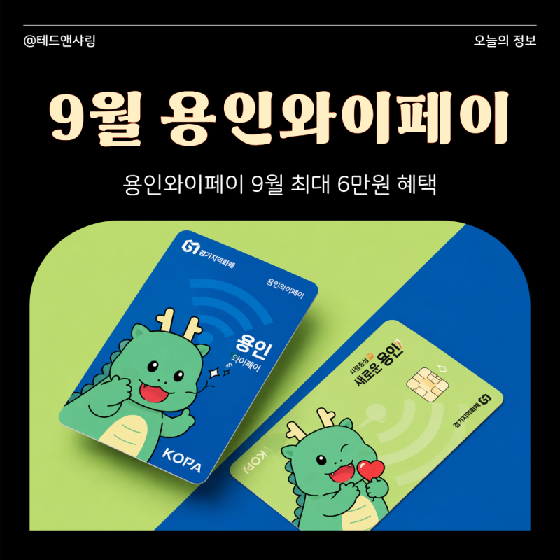 용인와이페이 9월 인센티브 10%, 추석 캐시백까지 최대 얼마?