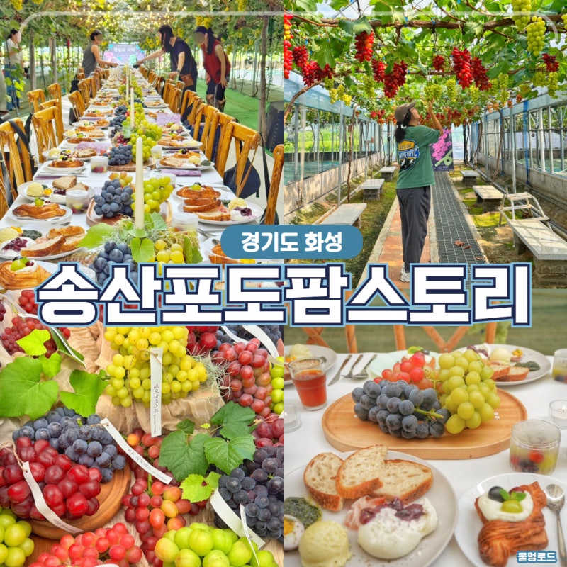 경기도 화성 가볼만한곳 송산포도팜스토리 포도뷔페 팜파티
