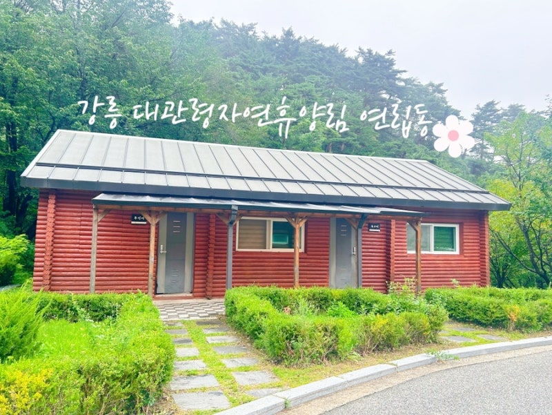 [강원 강릉] 대관령자연휴양림 연립동 딱따구리 이용 후기