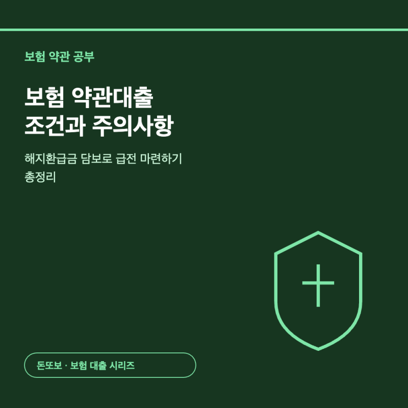 보험 약관대출 - 조건과 주의사항 총정리