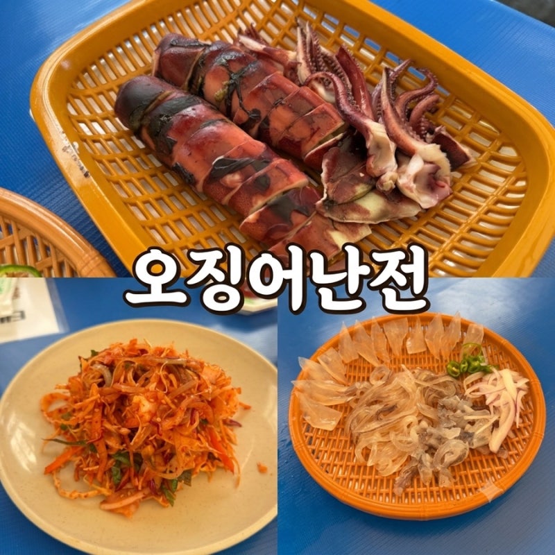 Sokcho Dongmyeong Port Squid Sashimi: My Sunday Visit to the Squid Market | Market Rates and Shop Recommendations