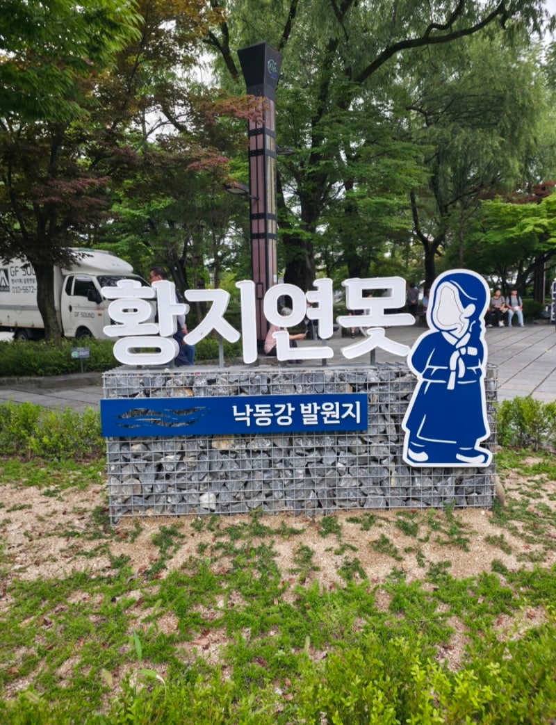 태백 여행의 심장부, 낙동강 발원지 '황지연못'과 도심 물길 산책로, 그리고 활력 넘치는 '황....