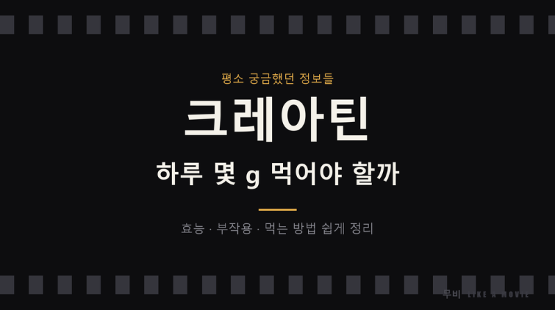 크레아틴 하루 몇 g 먹어야 할까 - 효능, 부작용, 종류, 먹는 방법 총정리