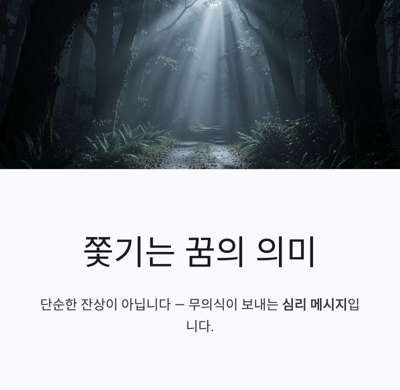 쫓기는꿈, 경찰 살인자 친구에게 도망치는 꿈 길몽 흉몽