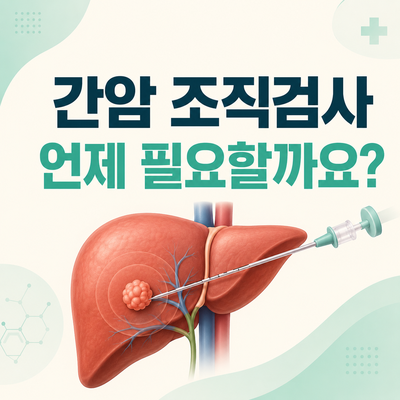 2026 간암 조직검사 총정리｜언제 필요할까? 방법·통증·결과·비용