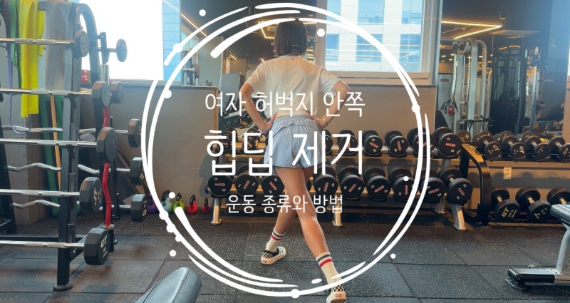 여자 허벅지 안쪽살, 힙딥 제거 효과적인 내전근 중둔근 하체운동 종류 소개합니다.(크로스 ....