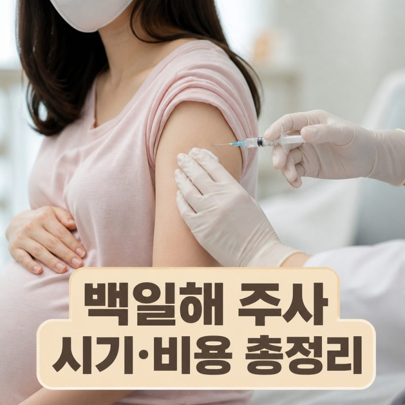 백일해주사 비용 얼마일까? 보건소 할인부터 권장 기간, 지정병원 찾는 꿀팁까지