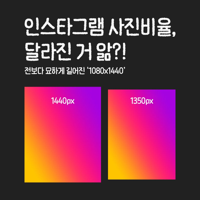 인스타그램 피드 비율 사이즈 달라진거 앎?!