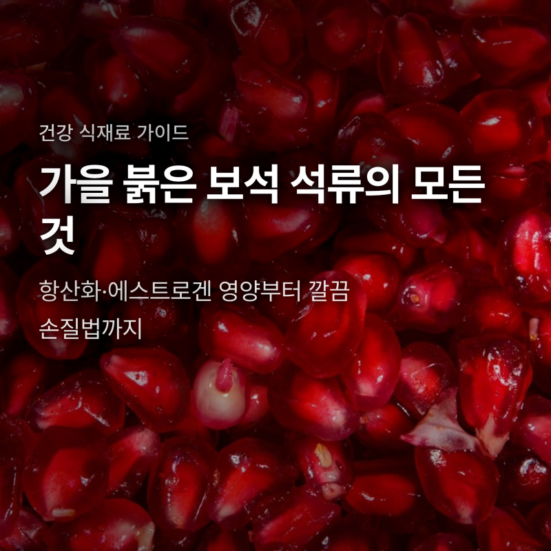 석류 효능과 영양 성분, 씨앗 섭취법과 과즙 안 튀는 손질 팁