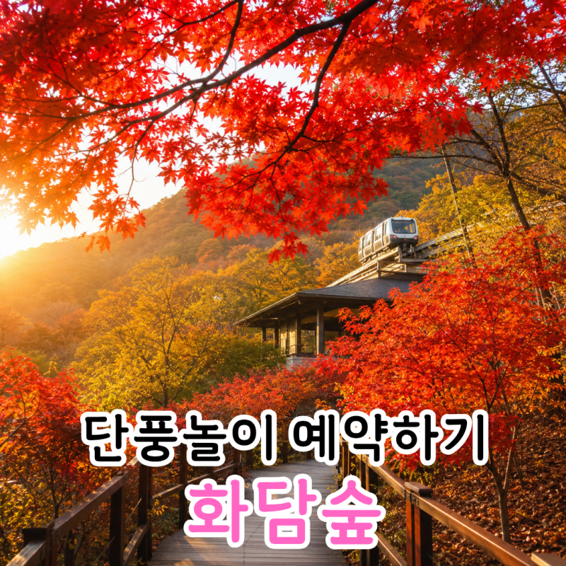 화담숲 단풍 절정시기 예약과 모노레일 코스 타는법