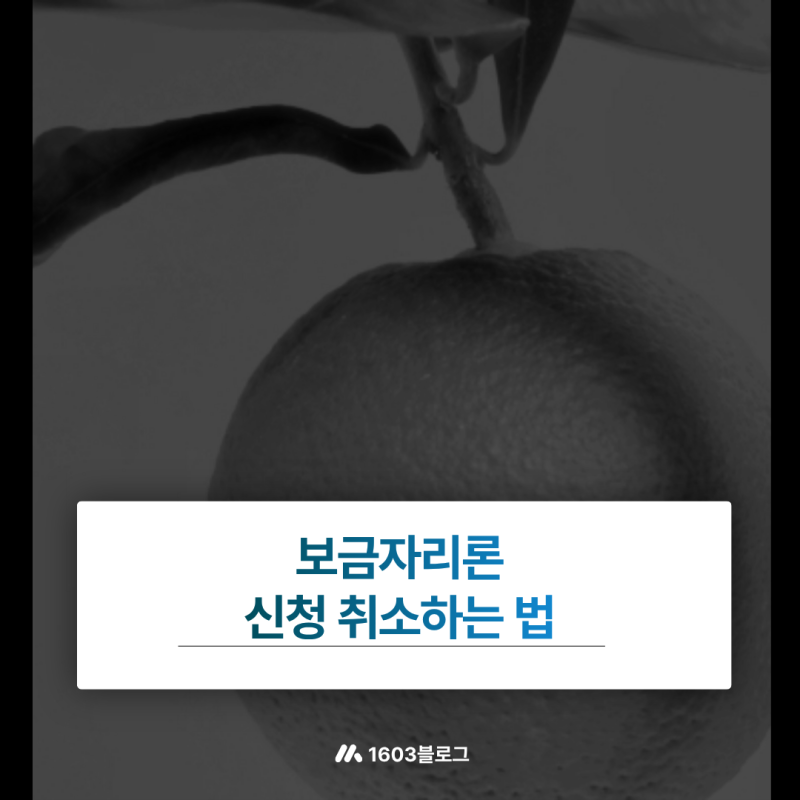 보금자리론 신청 취소하는 법 심사 단계별 철회 절차
