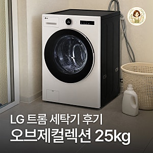 LG 트롬 AI 오브제컬렉션 세탁기 25kg FX25EFE 운동복 코스와 장단점