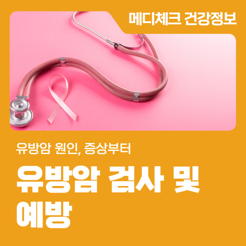 인천 종합검진센터 유방암 원인, 증상부터 검사, 예방까지