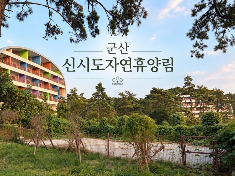 군산 신시도자연휴양림 하현달 303호 후기 오션뷰 노을 산책까지