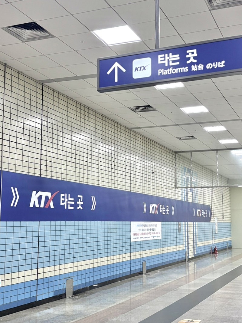 수서역 환승 몇 분 걸릴까? 수인분당선에서 SRT(KTX) 환승 실제 후기