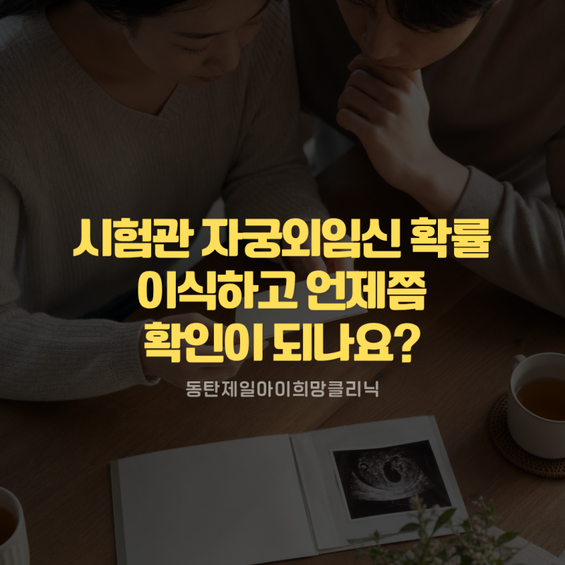 시험관 이식 후 자궁외임신 확률은 언제부터 확인할 수 있나요?