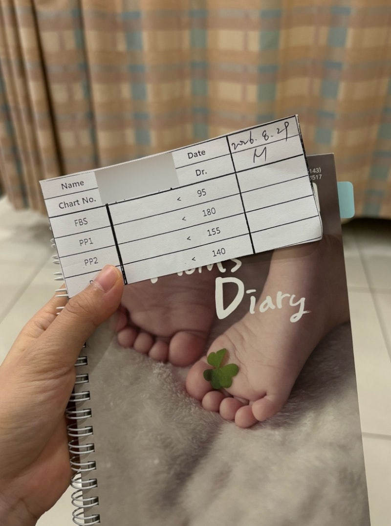 25주차 쌍둥이 임산부 임당 재검사 후 확진 후기/식단