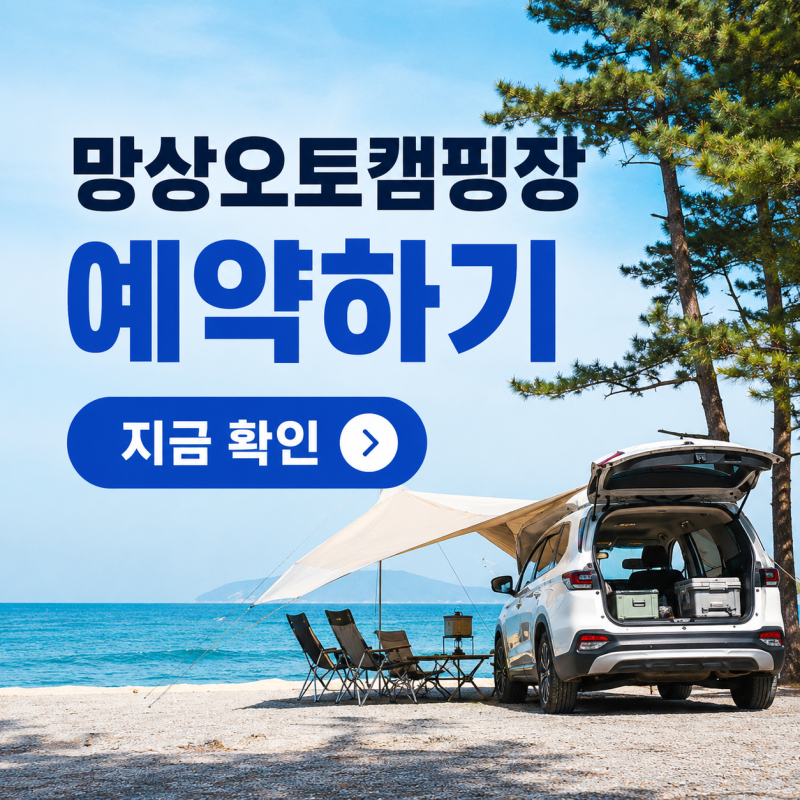 망상오토캠핑장 예약 방법, 제2캠핑장 가격·명당·차박 팁까지