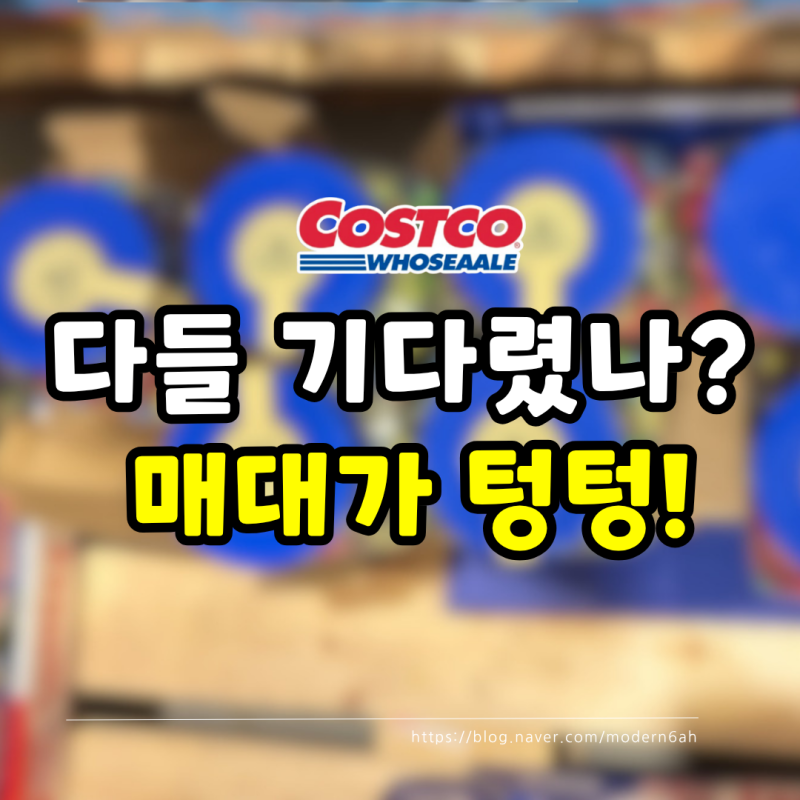 "오전에 갔는데 벌써 매대 텅텅" 세일만 기다렸나 싶은 코스트코 추천템 3가지