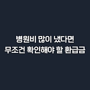 2026 건강보험 본인부담상한액 초과금 조회 및 신청 방법 정리