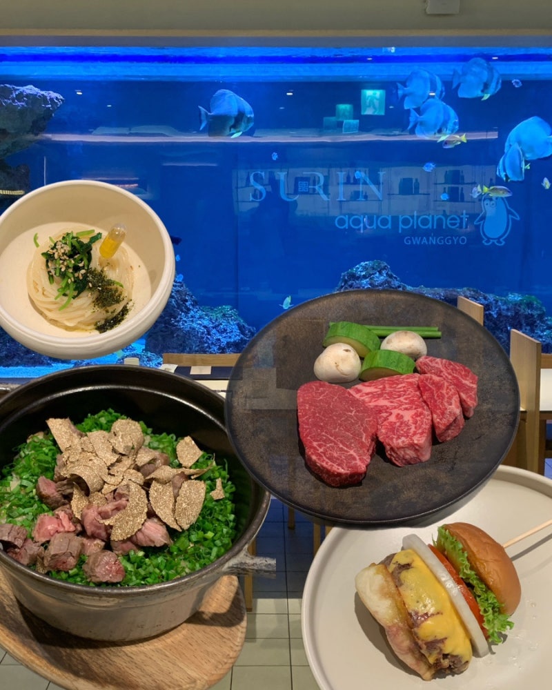광교 갤러리아 맛집 ｜아쿠아플라넷 뷰 한우 오마카세, 수린코스 후기