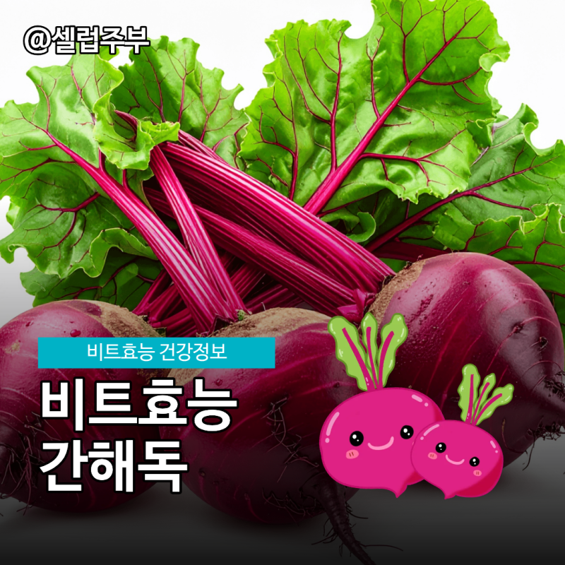 빨간 채소 비트효능 5가지, 이 수치 걱정된다면?