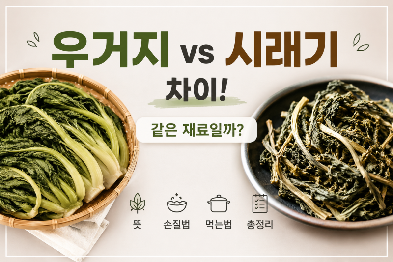 우거지 vs 시래기 차이! 같은 재료일까? 뜻·손질법·먹는법 총정리
