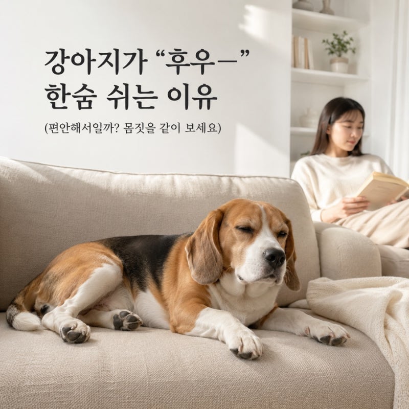 강아지 한숨 쉬는 이유, 편안한 걸까? 정상과 이상 신호 구별법