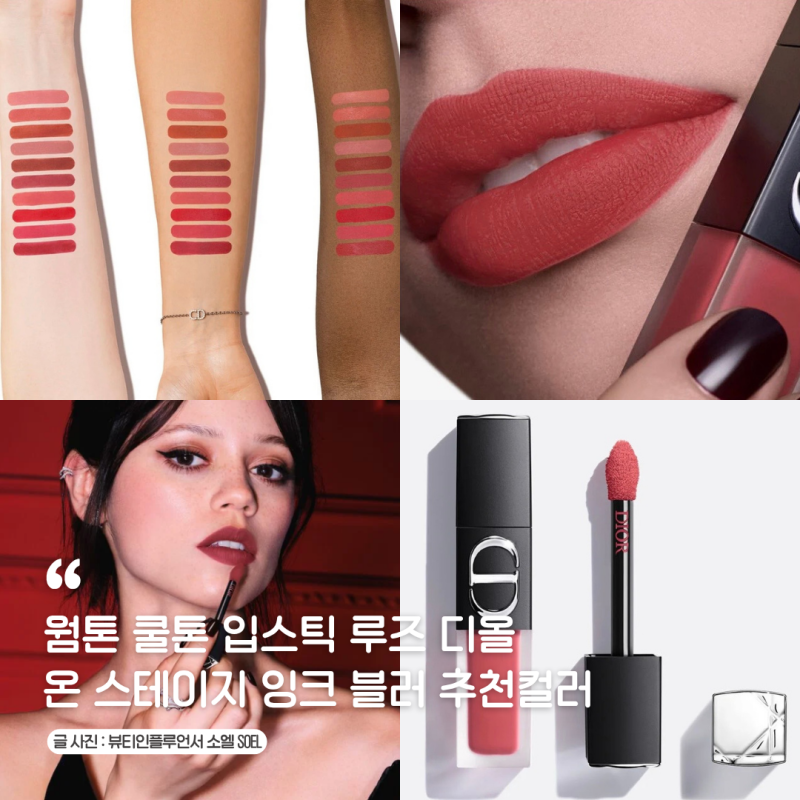 디올 립틴트 화장품 신상 웜톤 쿨톤 립스틱 루즈 디올 온 스테이지 잉크 블러 추천컬러