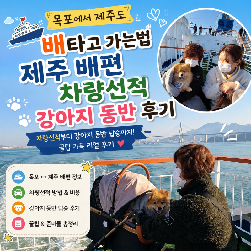 목포 제주도 배편｜배 타고 제주 가는 방법, 강아지 애견동반 후기