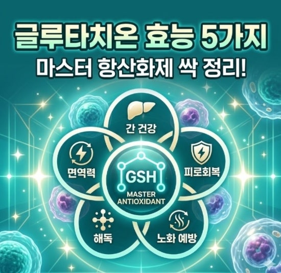 글루타치온 효능 및 부작용｜항산화 작용부터 간 건강, 영양제 고르는 기준