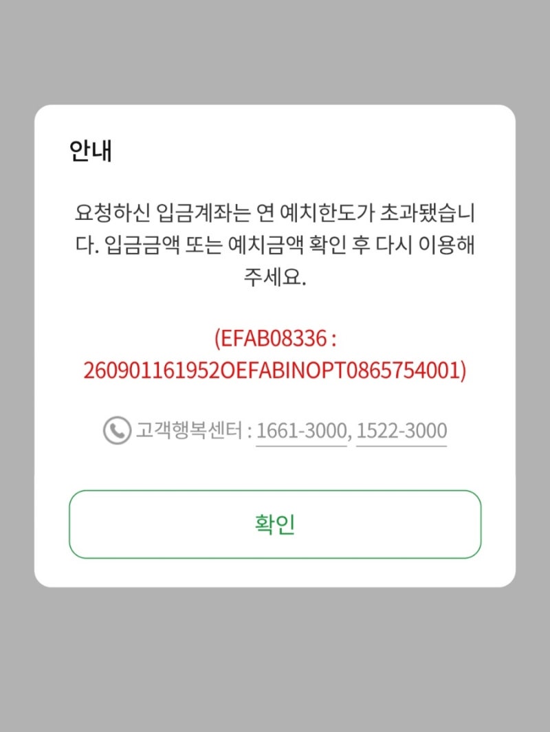 청년도약계좌 연 예치한도 초과