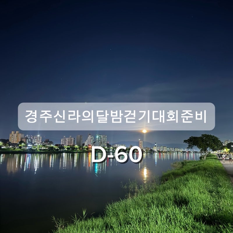 경주 신라의달밤 걷기대회 준비｜매일 태화강 걷기 기록(D-60)